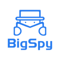 bigspy logo